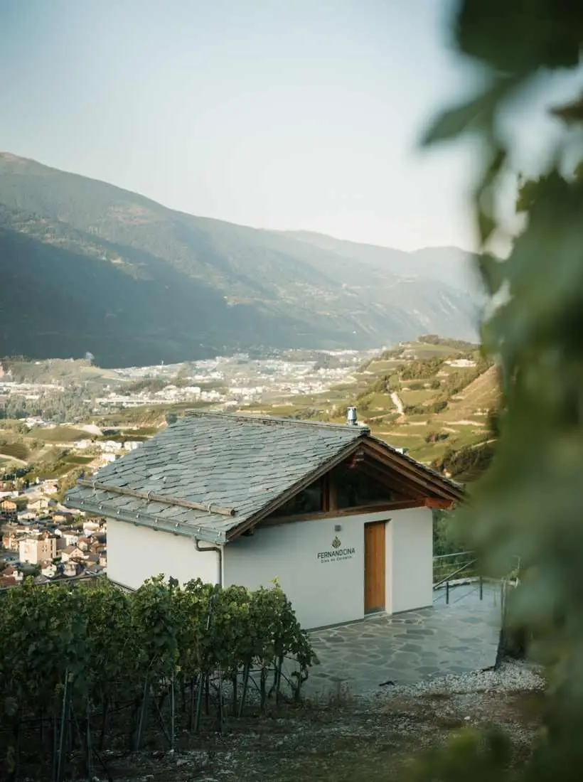 Vineyard house at the Clos du Cornalin above Salgesch, behind it the Rhone valley in morning light